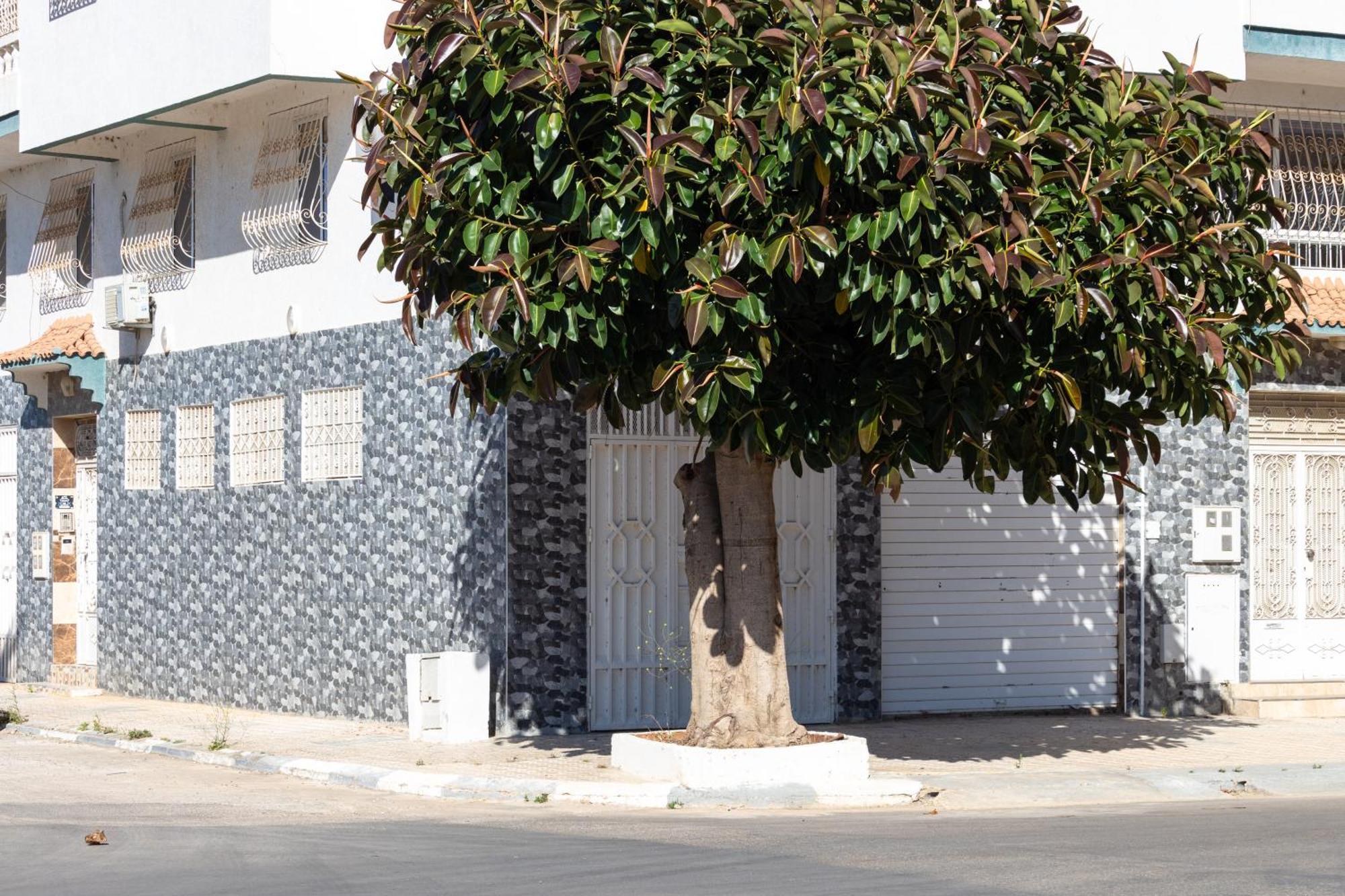 Appartements Calmes Et Spacieux Tétouan 외부 사진